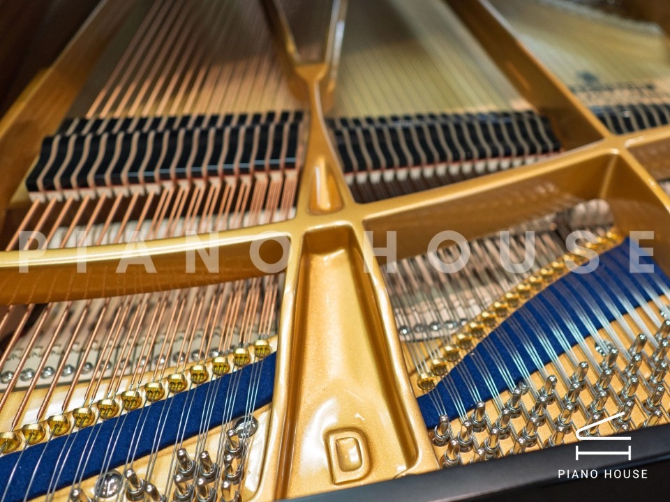 C.Bechstein Concert D282