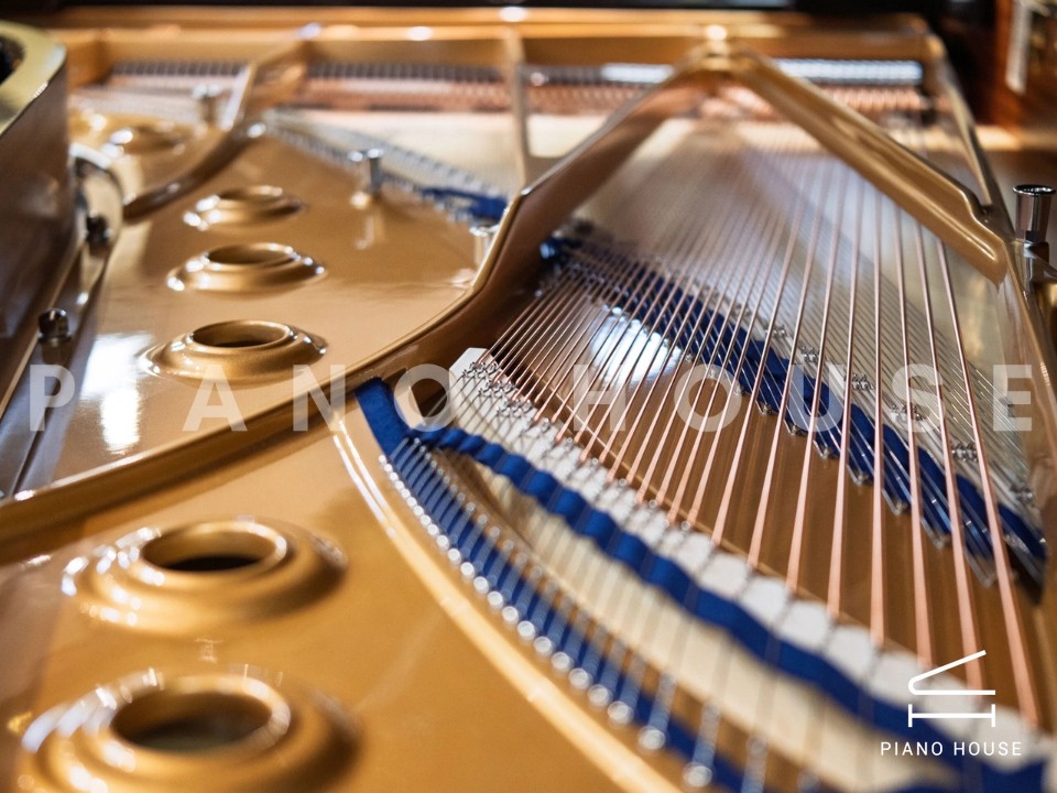 C.Bechstein Concert D282