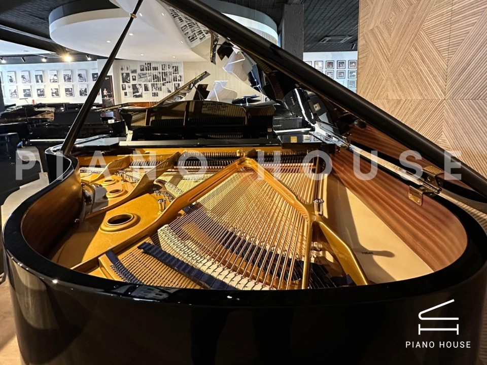 C.Bechstein Concert L167
