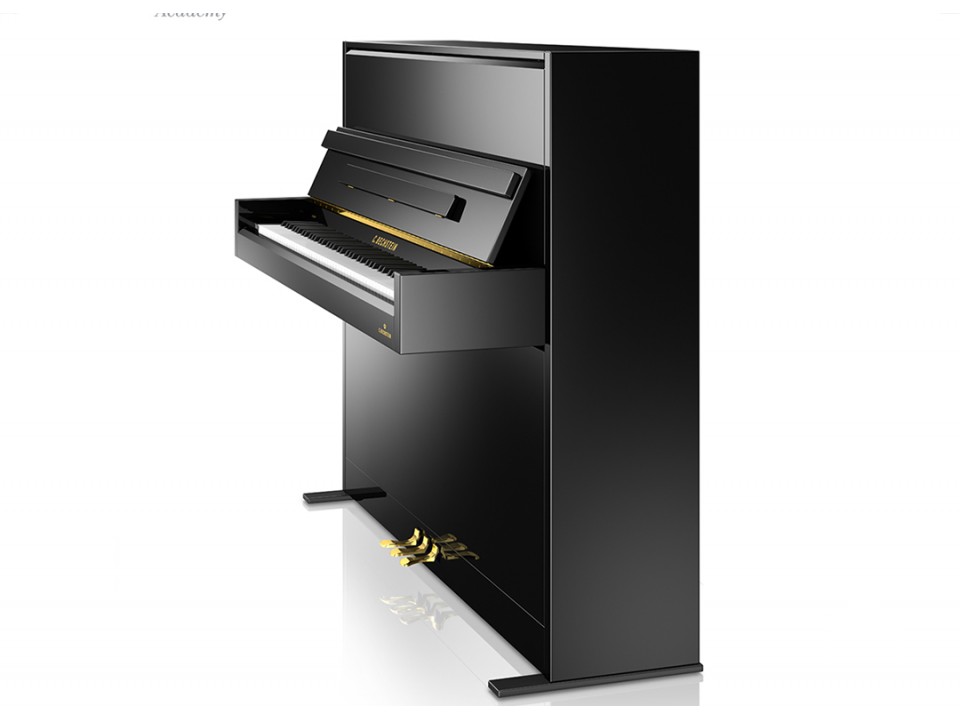 A2 (C.Bechstein Academy)