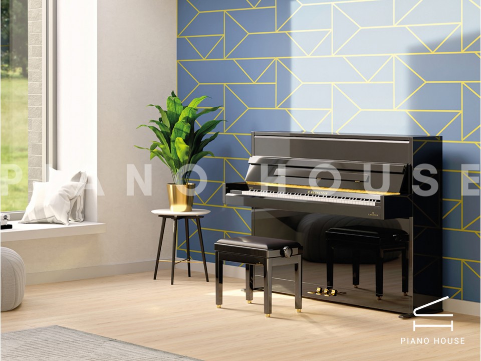 A2 (C.Bechstein Academy)