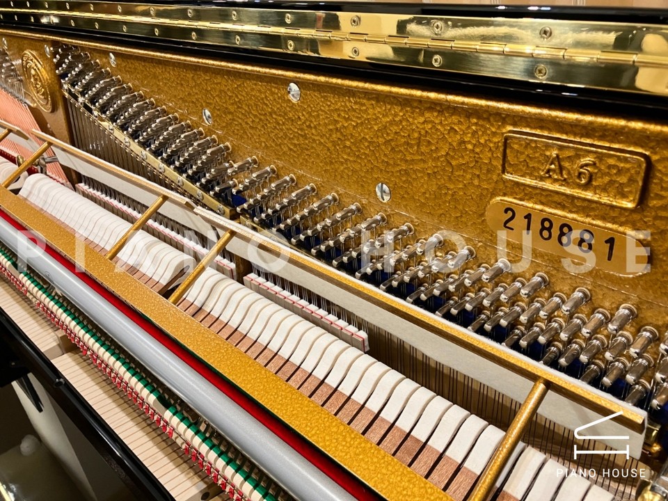 A6 (C.Bechstein Academy)