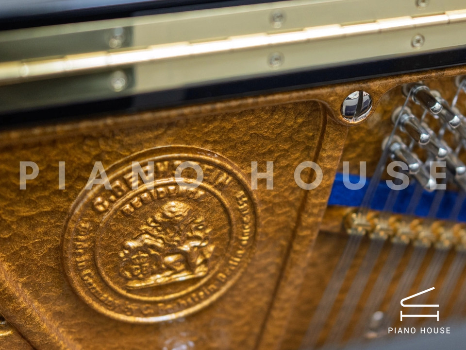 C.Bechstein R6 (Residence Series)