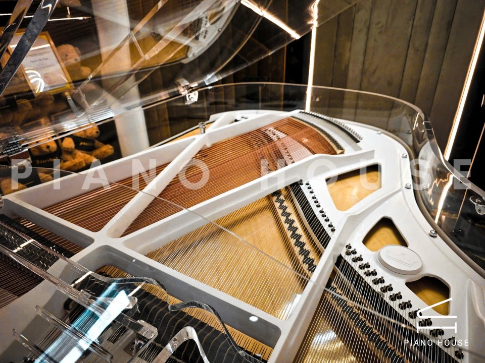 Schreiner & Söhne GP-186 Crystal