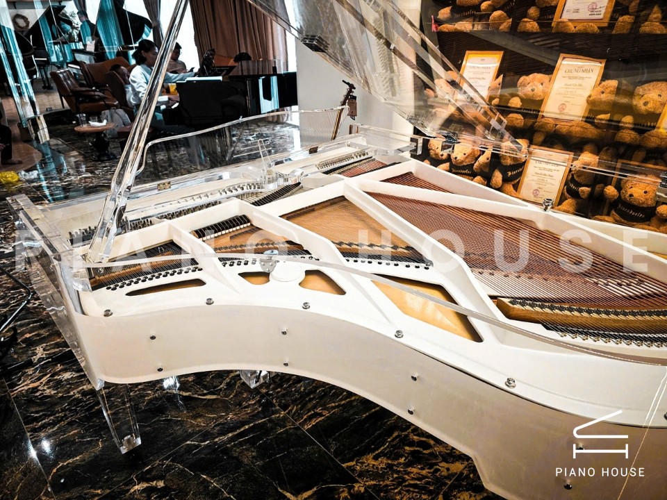 Schreiner & Söhne GP-186 Crystal