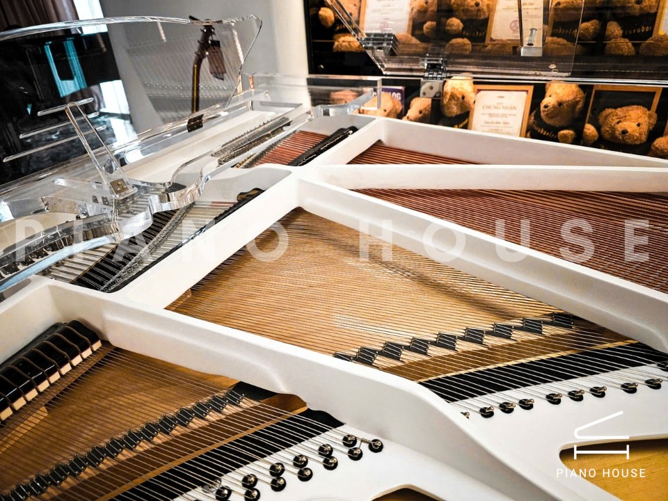 Schreiner & Söhne GP-186 Crystal