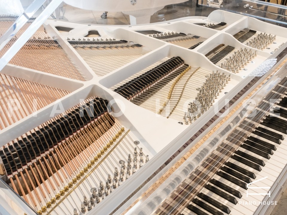 Schreiner & Söhne CG1 Crystal