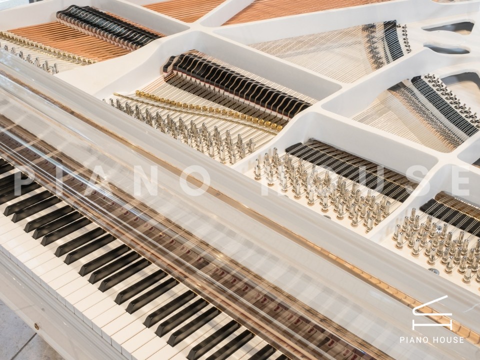 Schreiner & Söhne CG1 Crystal