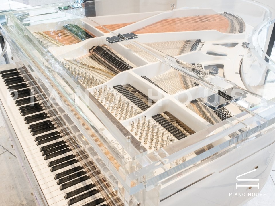 Schreiner & Söhne CG1 Crystal