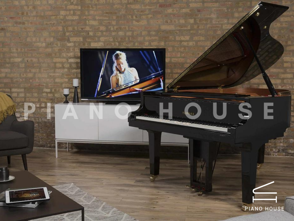 YAMAHA DC5X ENPRO PE