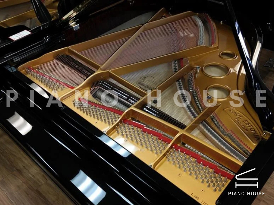 Estonia L168 Polish Ebony