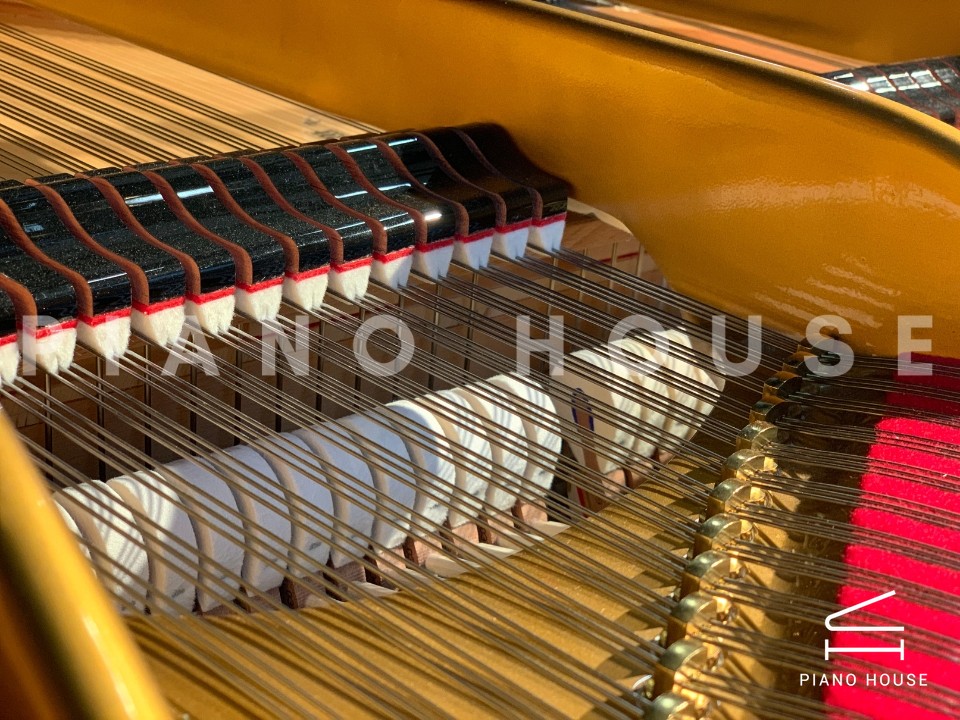 Estonia L274 Concert Grand