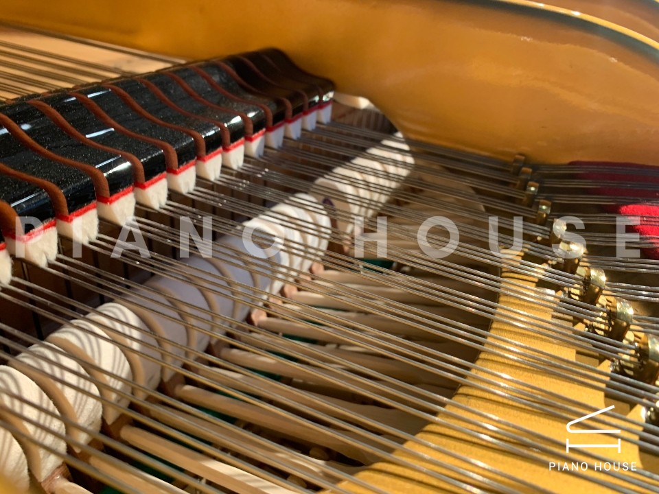 Estonia L274 Concert Grand