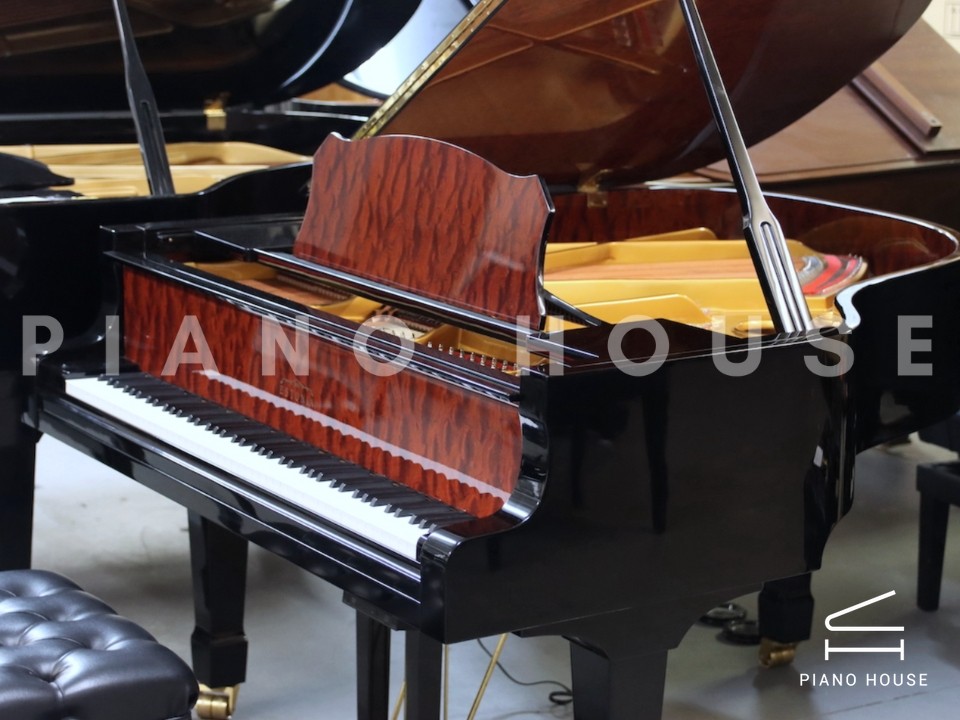 Estonia L168 Hidden Beauty