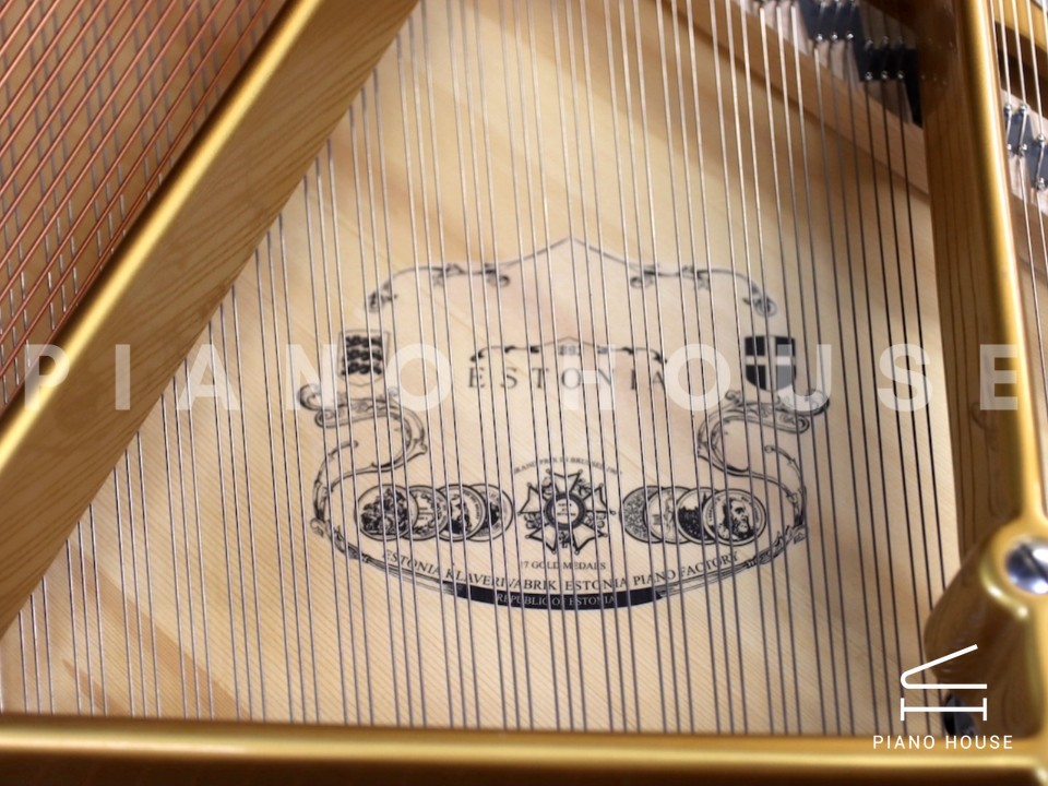 Estonia L168 Polish Ebony