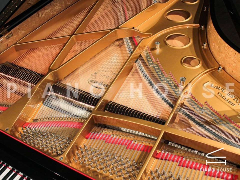 Estonia L210 Polish Ebony