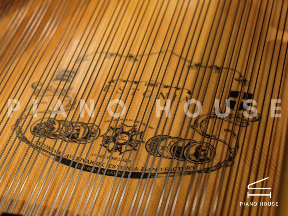 Estonia L210 Polish Ebony