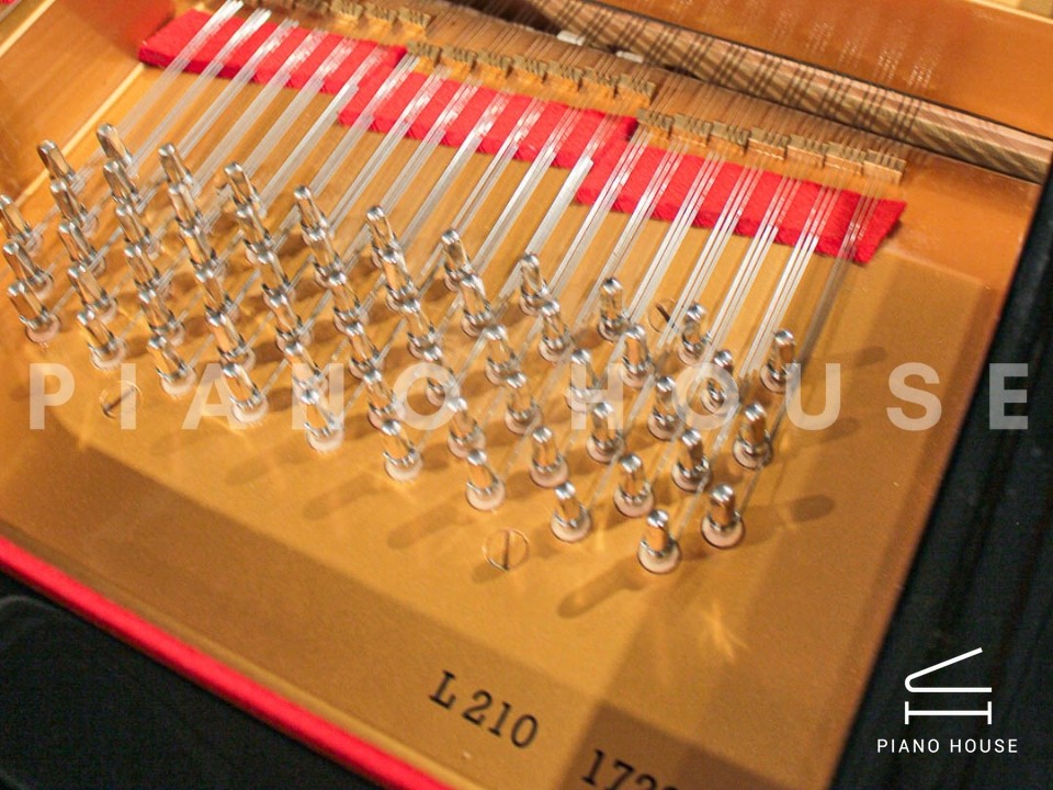 Estonia L210 Polish Ebony