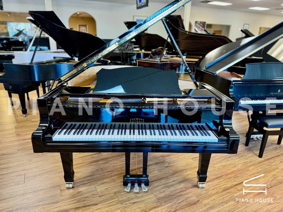 Estonia L210 Polish Ebony