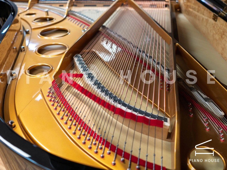 Estonia L225 Polish Ebony