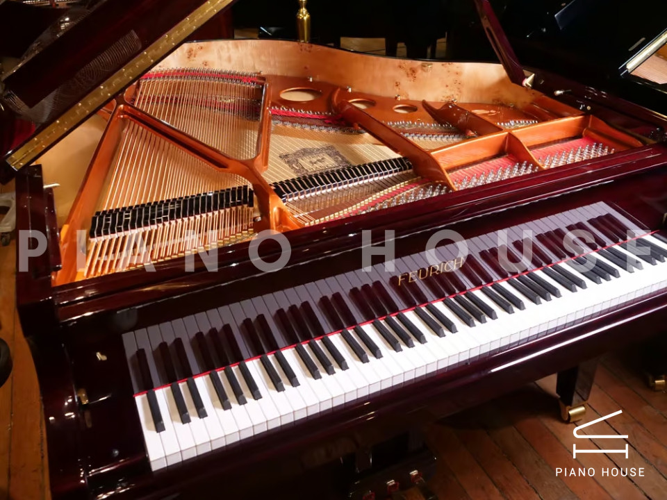 FEURICH 162 - "DYNAMIC I" (Bordeaux Polished)