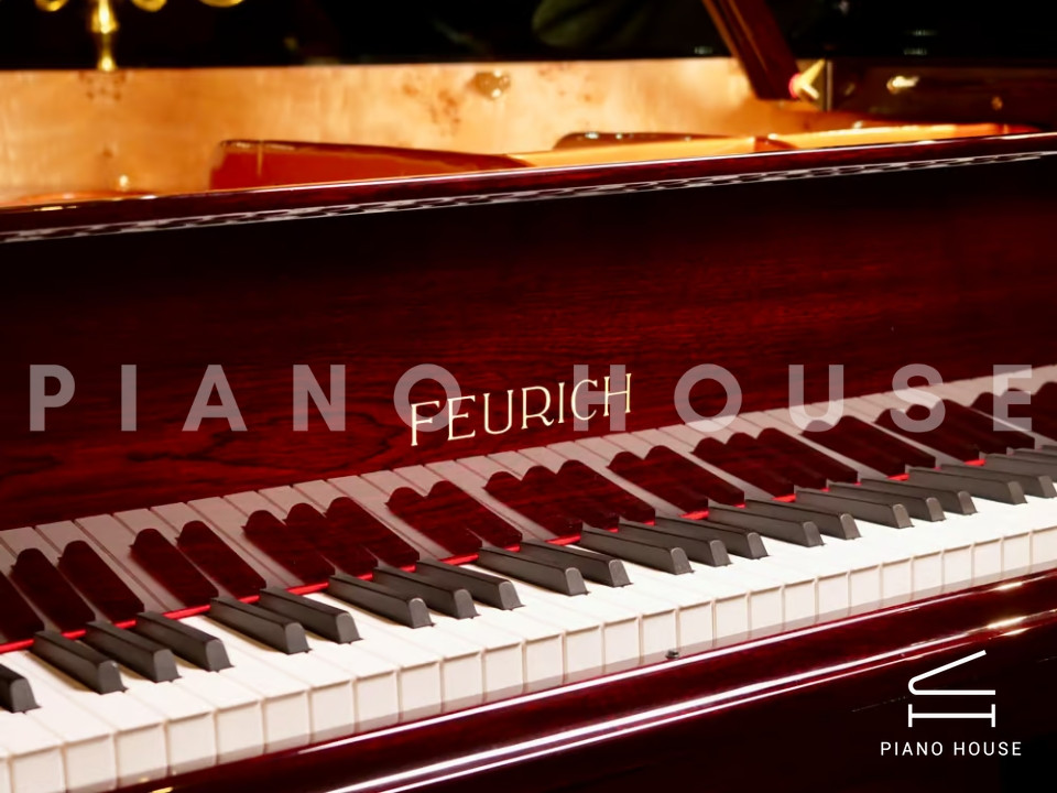 FEURICH 162 - "DYNAMIC I" (Bordeaux Polished)