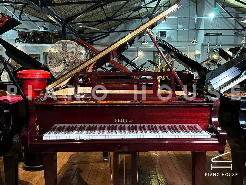 FEURICH 162 - "DYNAMIC I" (Bordeaux Polished)