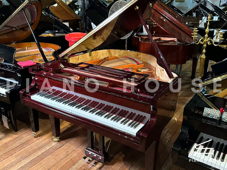 FEURICH 162 - "DYNAMIC I" (Bordeaux Polished)