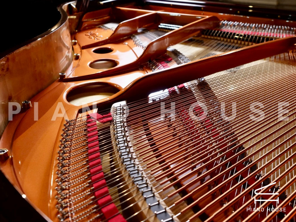 FEURICH 162 - "DYNAMIC I" (Bordeaux Polished)