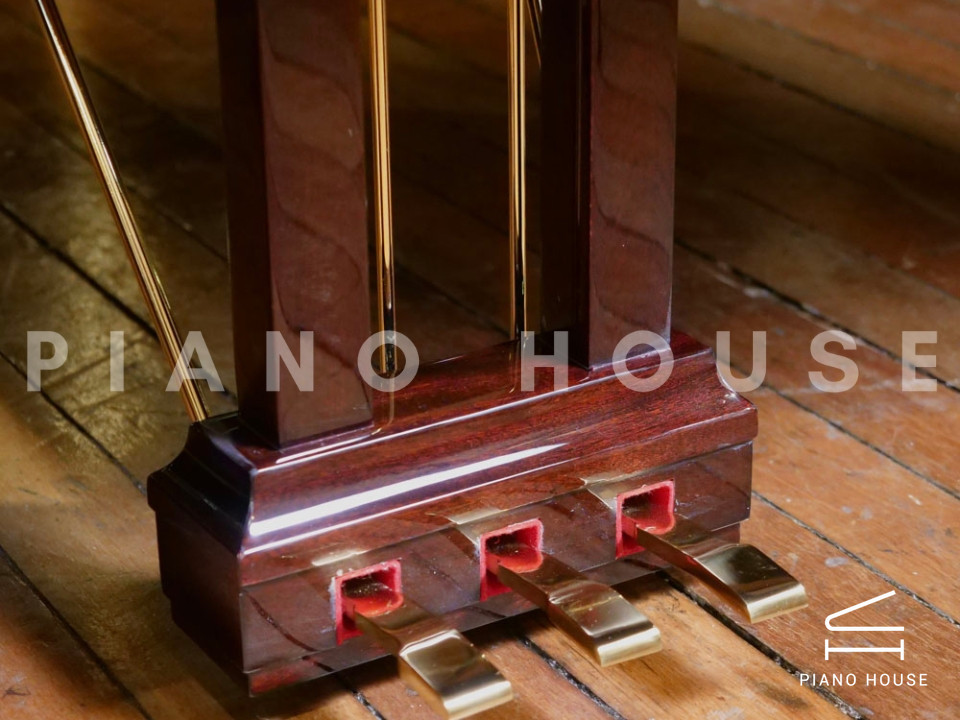 FEURICH 162 - "DYNAMIC I" (Bordeaux Polished)