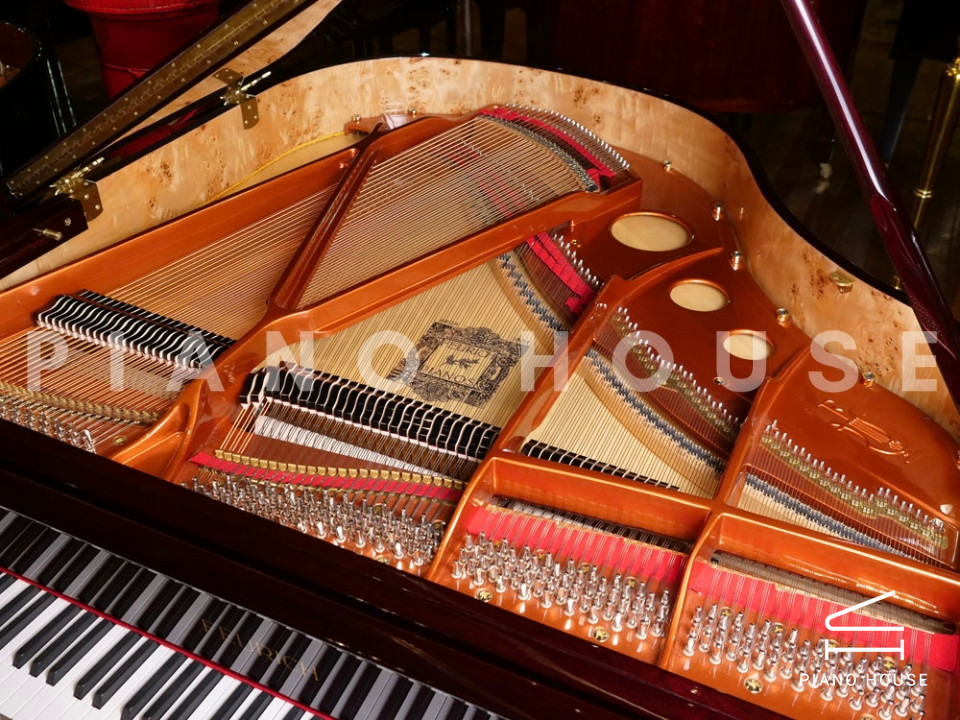 FEURICH 162 - "DYNAMIC I" (Bordeaux Polished)