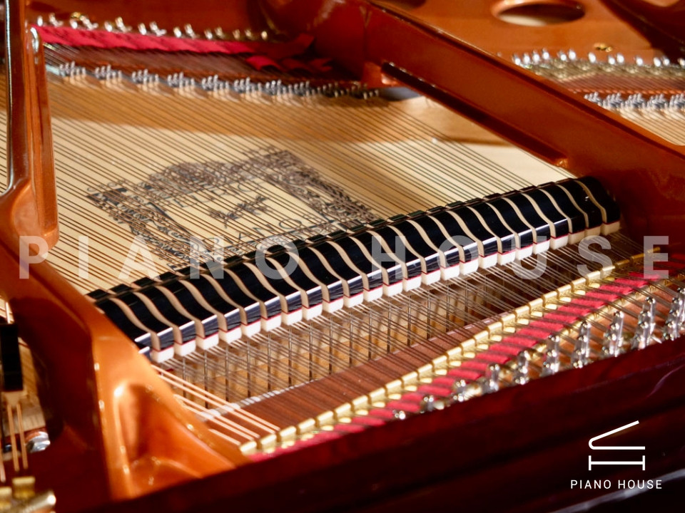 FEURICH 162 - "DYNAMIC I" (Bordeaux Polished)