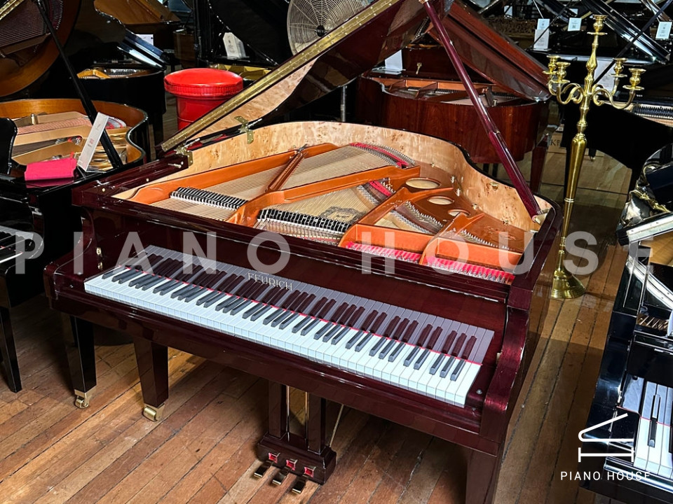 FEURICH 162 - "DYNAMIC I" (Bordeaux Polished)