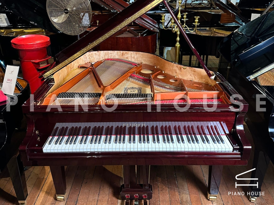 FEURICH 162 - "DYNAMIC I" (Bordeaux Polished)