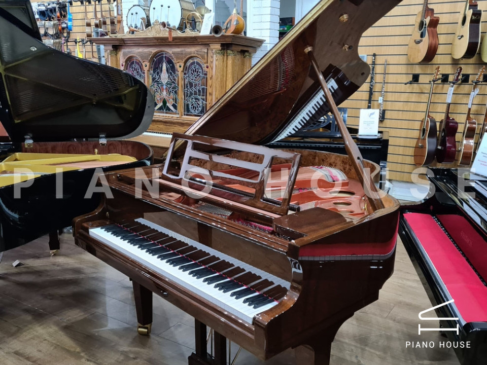 FEURICH 162 - "DYNAMIC I" (Walnut Polished)