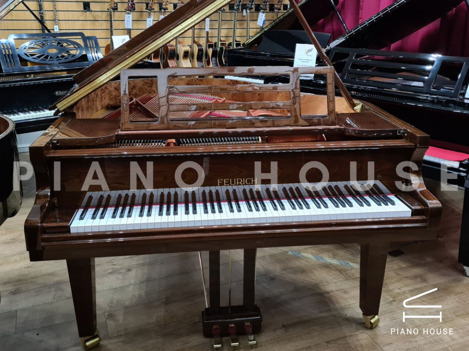 FEURICH 162 - "DYNAMIC I" (Walnut Polished)