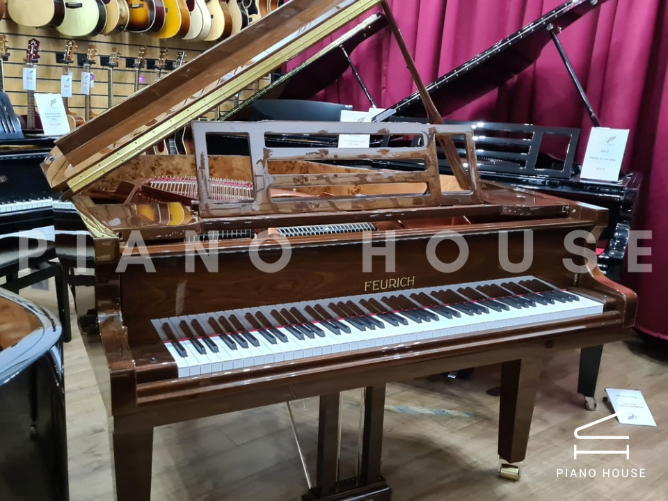 FEURICH 162 - "DYNAMIC I" (Walnut Polished)