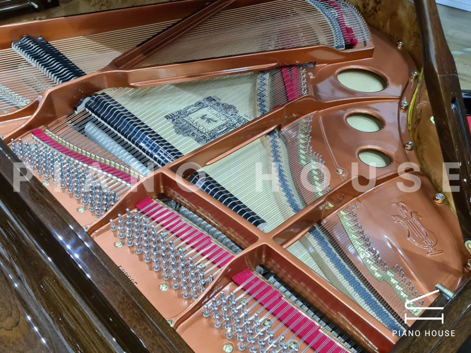 FEURICH 162 - "DYNAMIC I" (Walnut Polished)