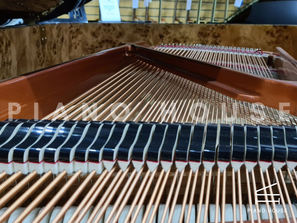 FEURICH 162 - "DYNAMIC I" (Walnut Polished)