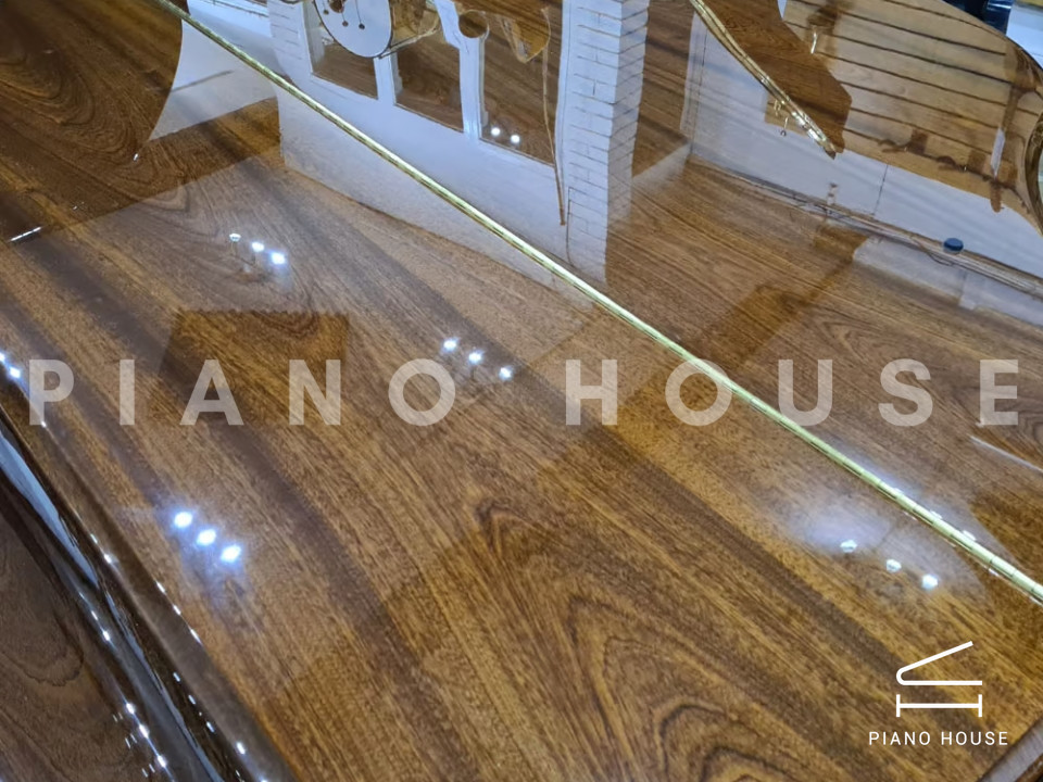 FEURICH 162 - "DYNAMIC I" (Walnut Polished)