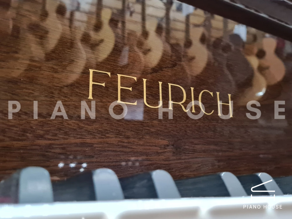FEURICH 162 - "DYNAMIC I" (Walnut Polished)