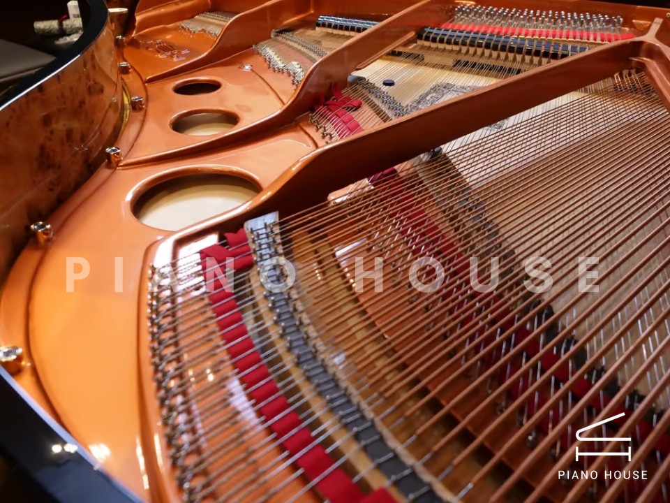 FEURICH 162  & DYNAMIC I (Black Polish & Brass)