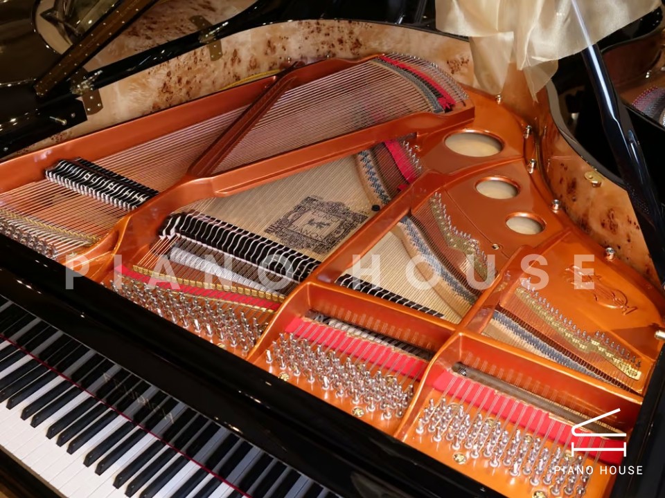 FEURICH 162  & DYNAMIC I (Black Polish & Brass)