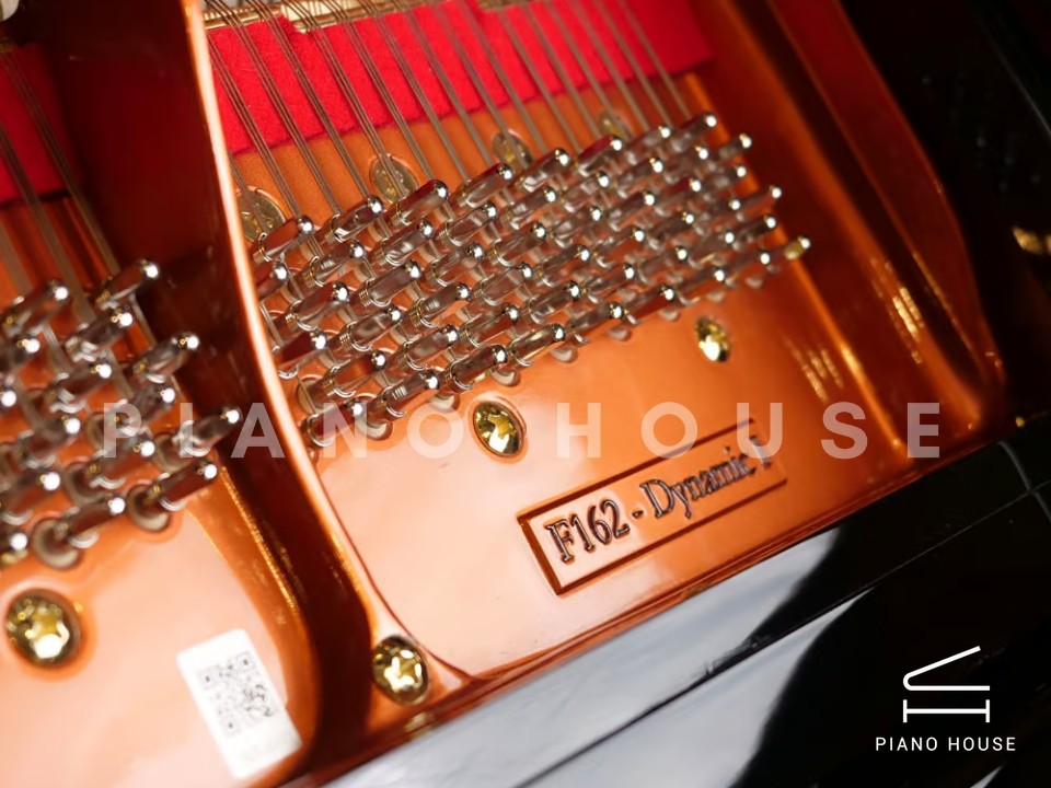 FEURICH 162  & DYNAMIC I (Black Polish & Brass)