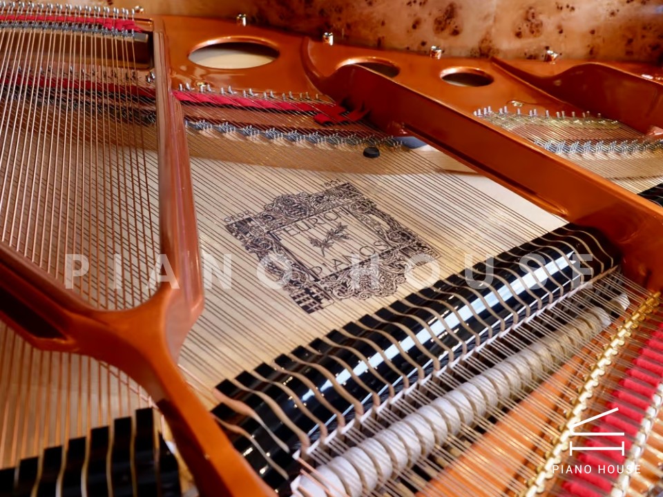 FEURICH 162  & DYNAMIC I (Black Polish & Brass)