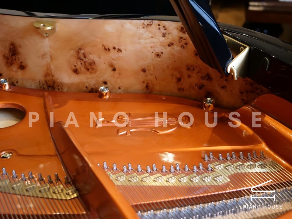 FEURICH 162  & DYNAMIC I (Black Polish & Brass)