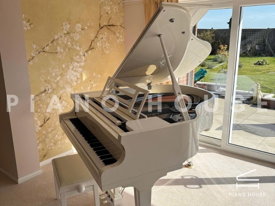 FEURICH 162 - "DYNAMIC I" (White Polish & Chrome)