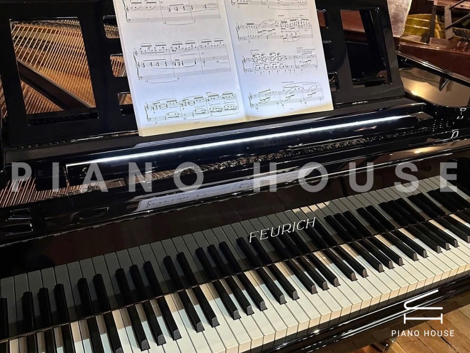 FEURICH 162 - "DYNAMIC I" (Black Polish & Chrome)