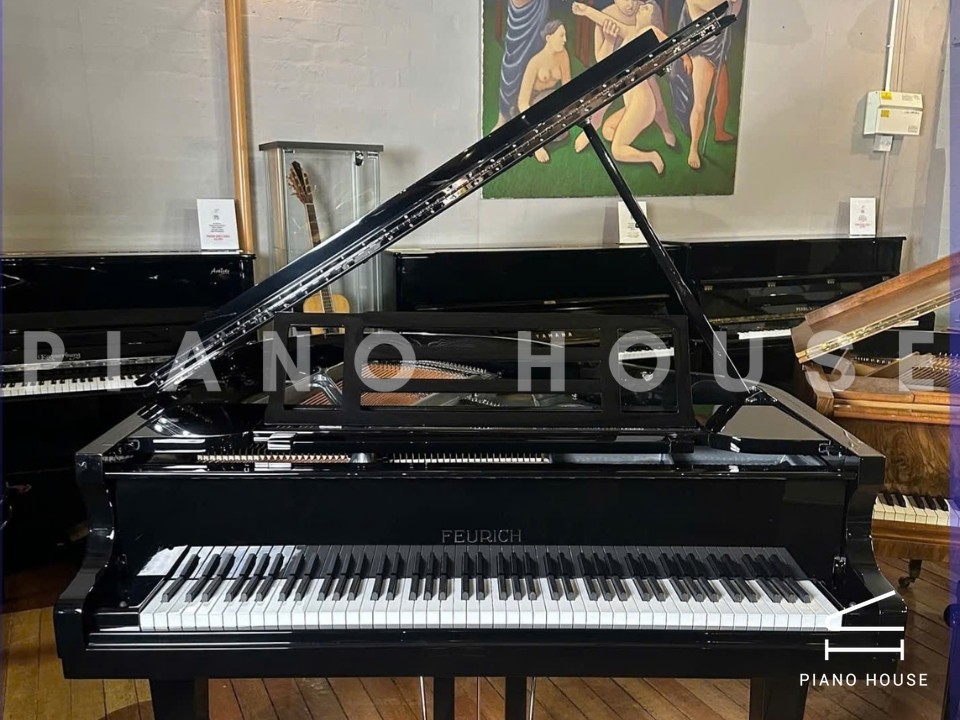 FEURICH 162 - "DYNAMIC I" (Black Polish & Chrome)