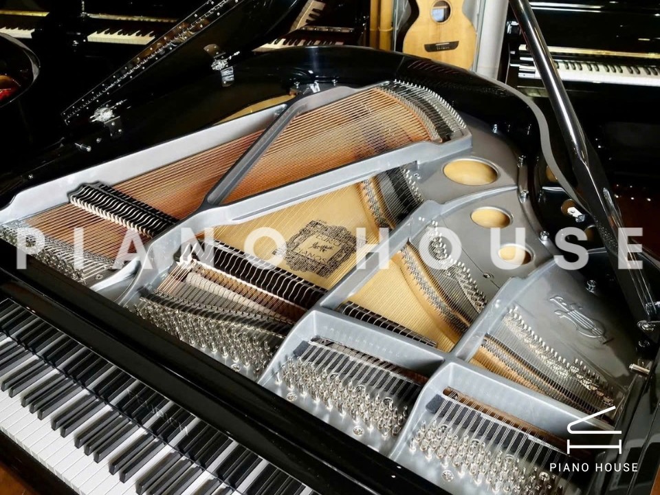 FEURICH 162 - "DYNAMIC I" (Black Polish & Chrome)